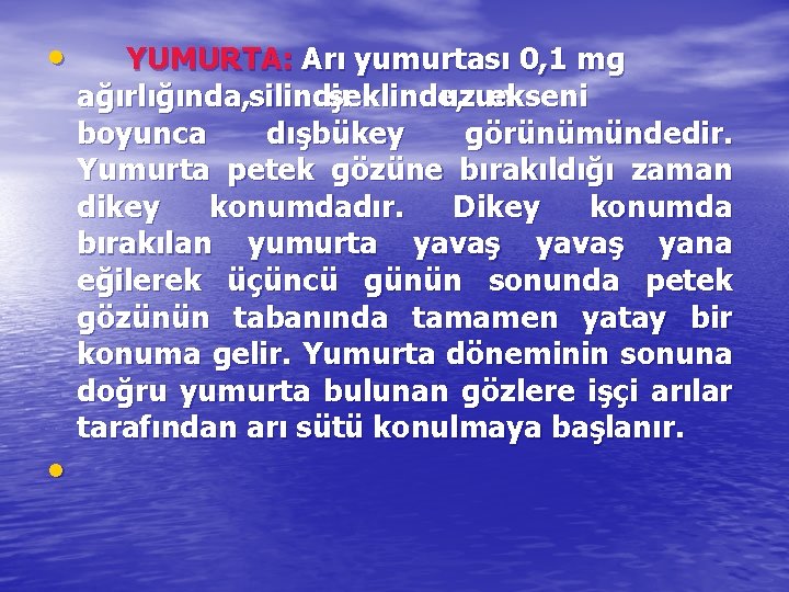  • • YUMURTA: Arı yumurtası 0, 1 mg ağırlığında, silindir şeklinde, uzun ekseni