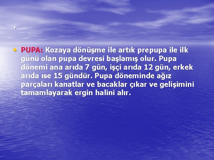 . • PUPA: Kozaya dönüşme ile artık prepupa ile ilk günü olan pupa devresi