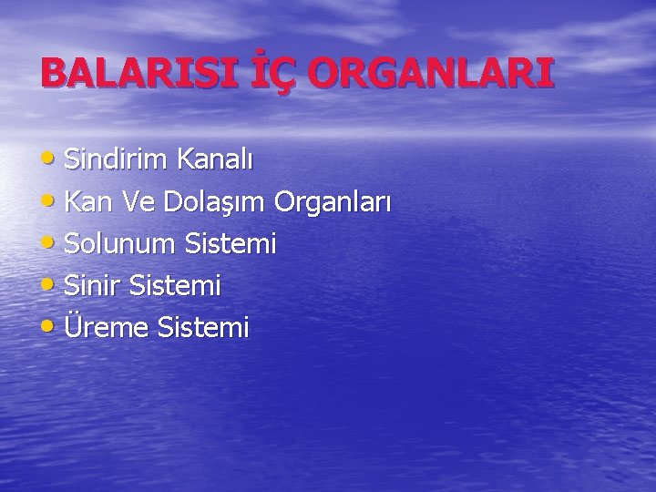 BALARISI İÇ ORGANLARI • Sindirim Kanalı • Kan Ve Dolaşım Organları • Solunum Sistemi