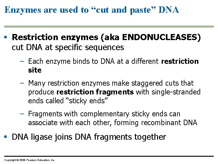 Enzymes are used to “cut and paste” DNA § Restriction enzymes (aka ENDONUCLEASES) cut