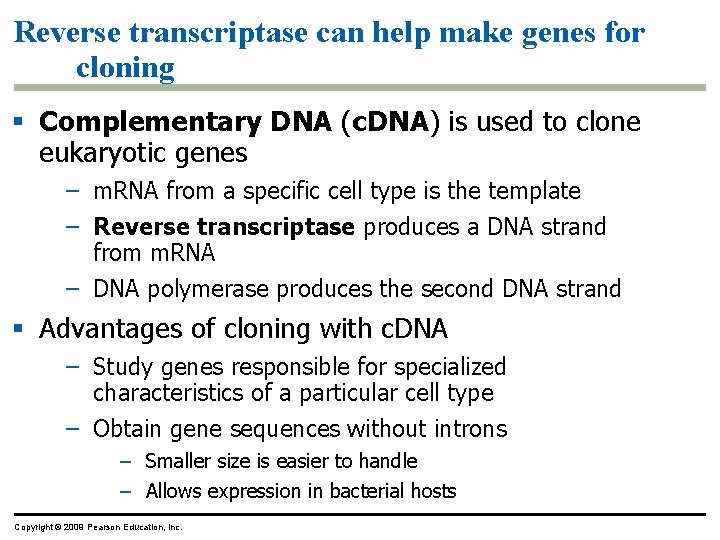 Reverse transcriptase can help make genes for cloning § Complementary DNA (c. DNA) is