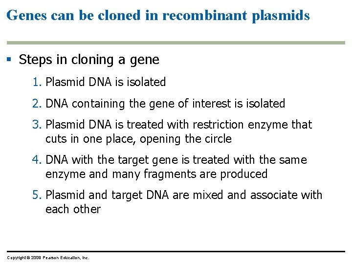 Genes can be cloned in recombinant plasmids § Steps in cloning a gene 1.