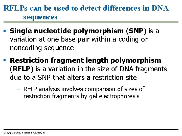 RFLPs can be used to detect differences in DNA sequences § Single nucleotide polymorphism