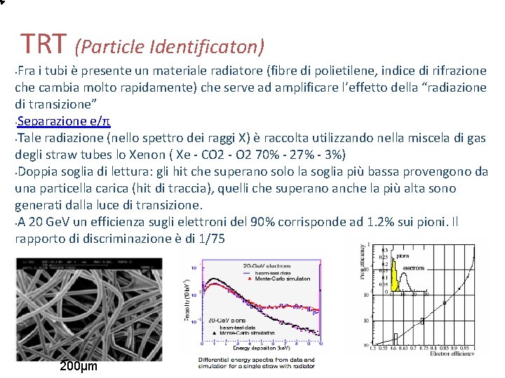 TRT (Particle Identificaton) Fra i tubi è presente un materiale radiatore (fibre di polietilene,