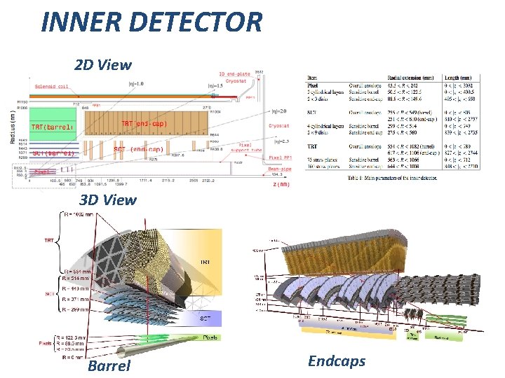 INNER DETECTOR 2 D View 3 D View Barrel Endcaps 