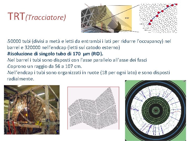 TRT(Tracciatore) 50000 tubi (divisi a metà e letti da entrambi i lati per ridurre