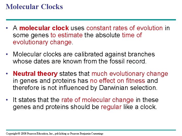 Molecular Clocks • A molecular clock uses constant rates of evolution in some genes