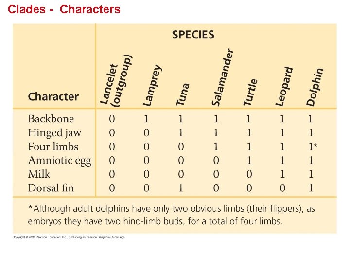 Clades - Characters 