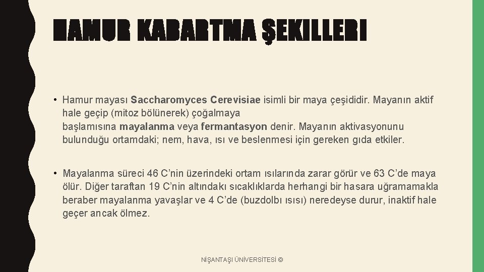 HAMUR KABARTMA ŞEKILLERI • Hamur mayası Saccharomyces Cerevisiae isimli bir maya çeşididir. Mayanın aktif