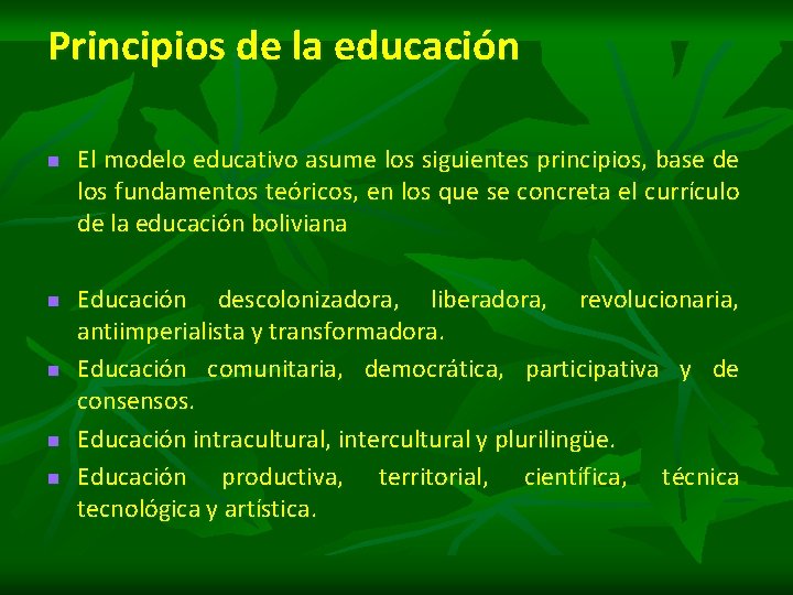 Principios de la educación n n El modelo educativo asume los siguientes principios, base