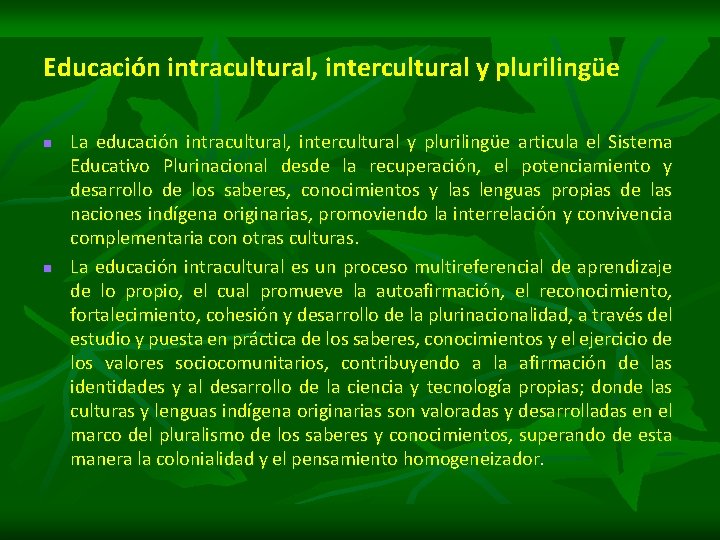 Educación intracultural, intercultural y plurilingüe n n La educación intracultural, intercultural y plurilingüe articula