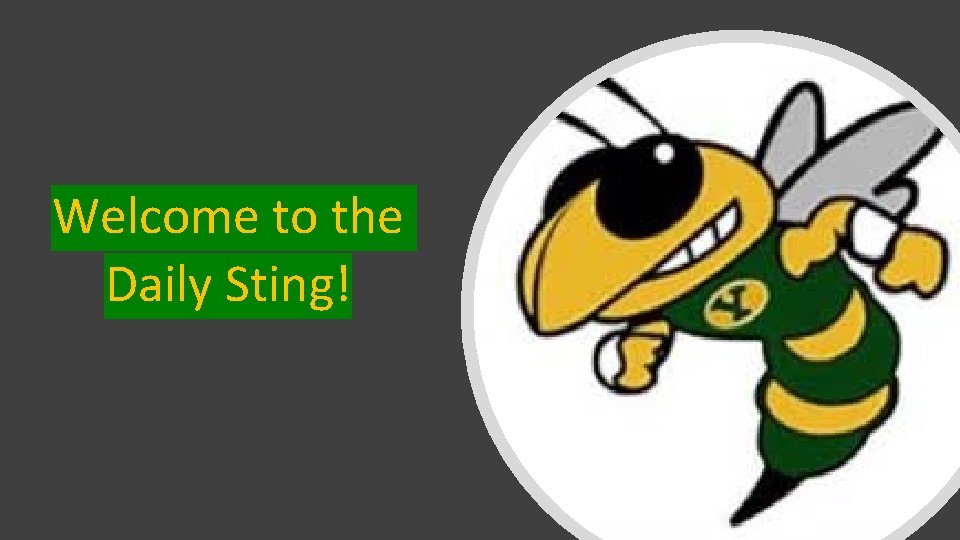 Welcome to the Daily Sting! 