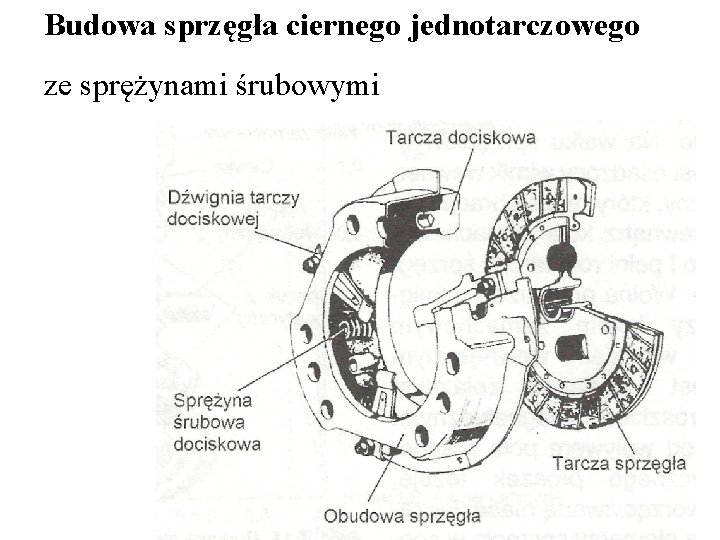 Budowa sprzęgła ciernego jednotarczowego ze sprężynami śrubowymi 