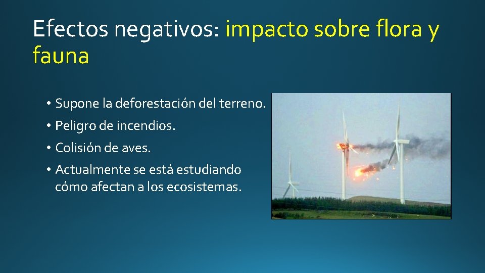 Efectos negativos: impacto sobre flora y fauna • Supone la deforestación del terreno. •