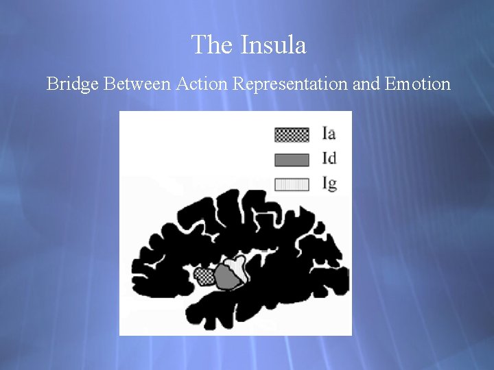 The Insula Bridge Between Action Representation and Emotion 