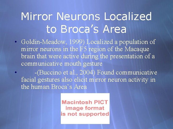 Mirror Neurons Localized to Broca’s Area • Goldin-Meadow, 1999) Localized a population of mirror