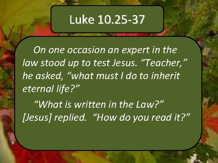 Luke 10. 25 -37 On one occasion an expert in the law stood up