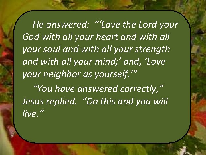 He answered: “‘Love the Lord your God with all your heart and with all