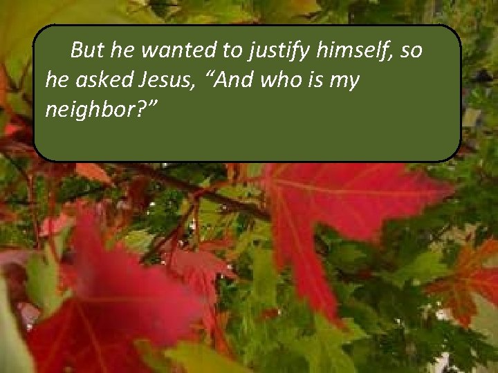 But he wanted to justify himself, so he asked Jesus, “And who is my