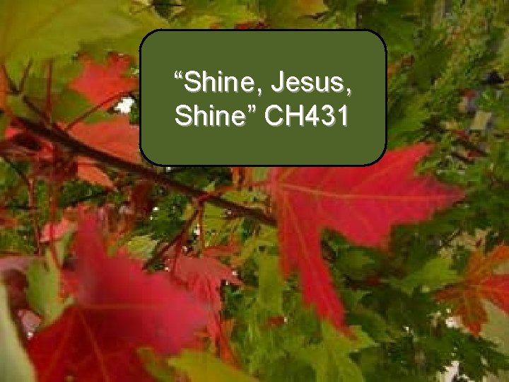 “Shine, Jesus, Shine” CH 431 