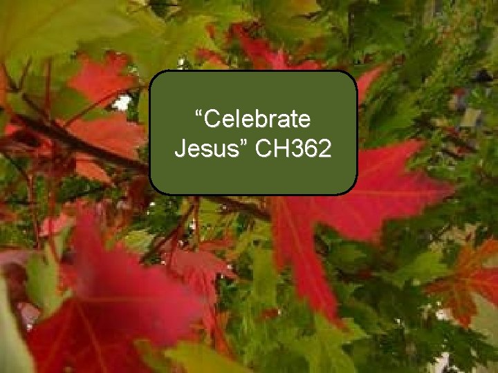 “Celebrate Jesus” CH 362 