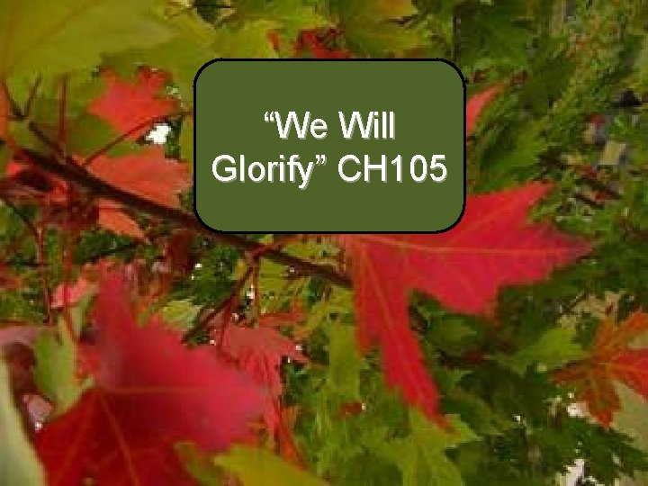 “We Will Glorify” CH 105 