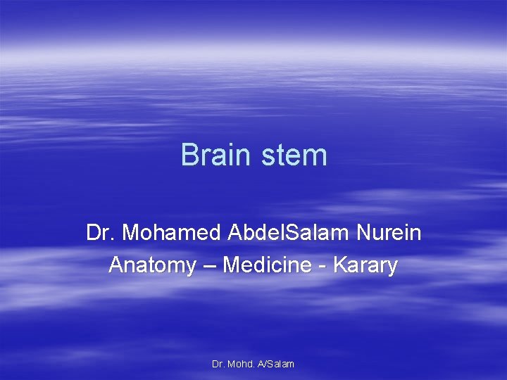 Brain stem Dr. Mohamed Abdel. Salam Nurein Anatomy – Medicine - Karary Dr. Mohd.