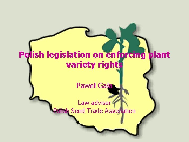 Polish legislation on enforcing plant variety rights Paweł Gała Law adviser Polish Seed Trade