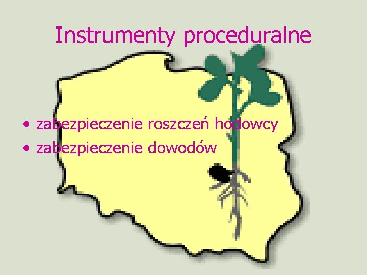 Instrumenty proceduralne • zabezpieczenie roszczeń hodowcy • zabezpieczenie dowodów 