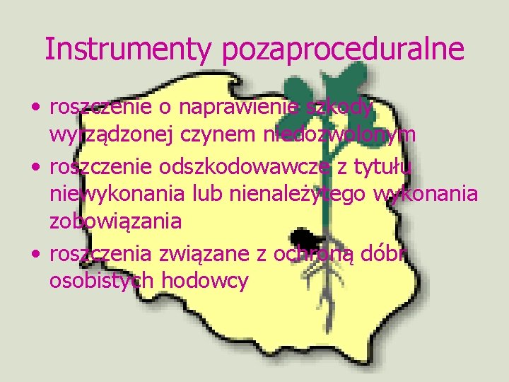 Instrumenty pozaproceduralne • roszczenie o naprawienie szkody wyrządzonej czynem niedozwolonym • roszczenie odszkodowawcze z