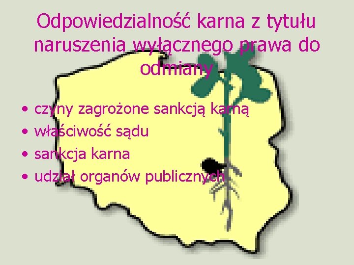 Odpowiedzialność karna z tytułu naruszenia wyłącznego prawa do odmiany • • czyny zagrożone sankcją