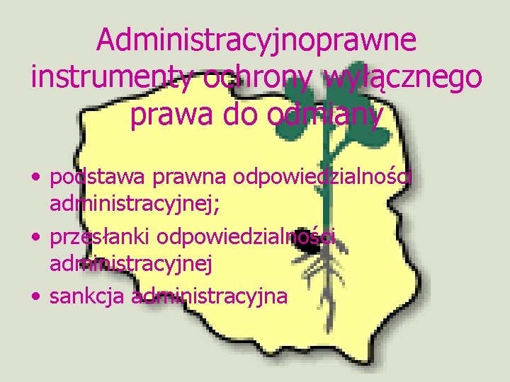 Administracyjnoprawne instrumenty ochrony wyłącznego prawa do odmiany • podstawa prawna odpowiedzialności administracyjnej; • przesłanki