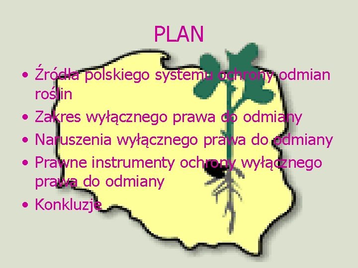 PLAN • Źródła polskiego systemu ochrony odmian roślin • Zakres wyłącznego prawa do odmiany