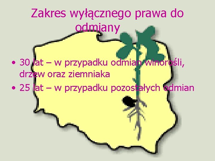 Zakres wyłącznego prawa do odmiany • 30 lat – w przypadku odmian winorośli, drzew