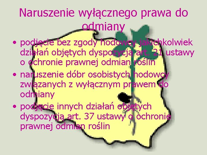 Naruszenie wyłącznego prawa do odmiany • podjęcie bez zgody hodowcy jakichkolwiek działań objętych dyspozycją