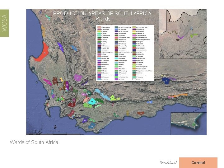 PRODUCTION AREAS OF SOUTH AFRICA: Wards of South Africa. Swartland Coastal 