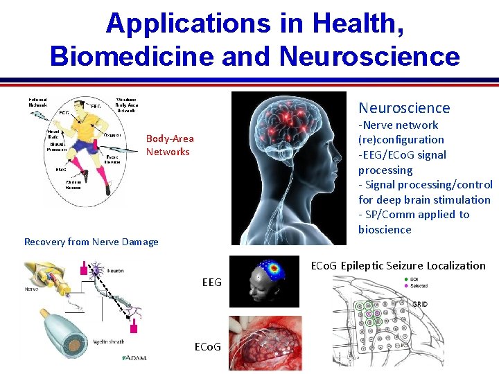 Applications in Health, Biomedicine and Neuroscience -Nerve network (re)configuration -EEG/ECo. G signal processing -