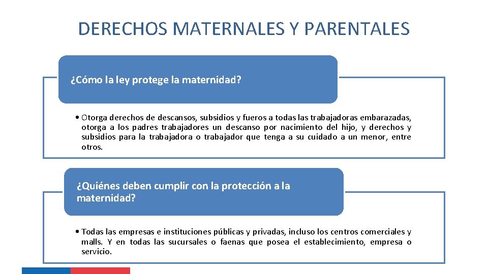 DERECHOS MATERNALES Y PARENTALES ¿Cómo la ley protege la maternidad? • Otorga derechos de