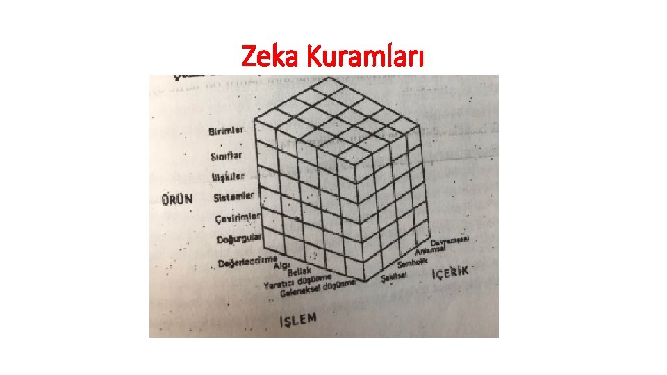 Zeka Kuramları 