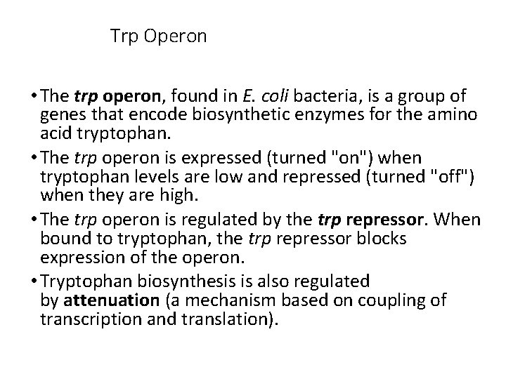 Trp Operon • The trp operon, found in E. coli bacteria, is a group