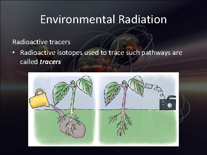 Environmental Radiation Radioactive tracers • Radioactive isotopes used to trace such pathways are called