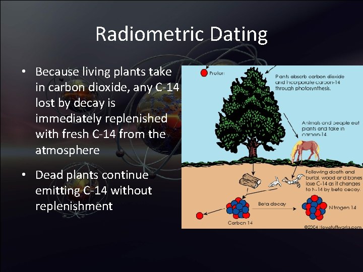 Radiometric Dating • Because living plants take in carbon dioxide, any C-14 lost by