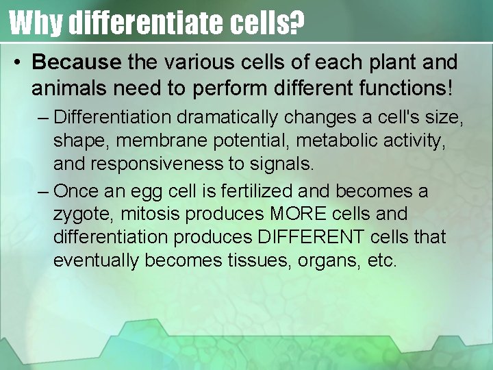 Why differentiate cells? • Because the various cells of each plant and animals need