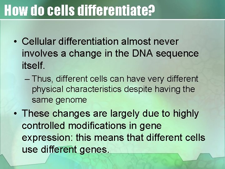 How do cells differentiate? • Cellular differentiation almost never involves a change in the