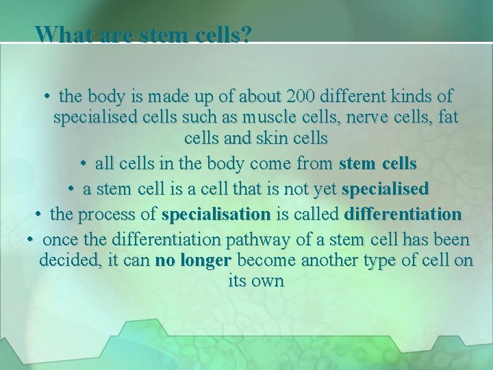 What are stem cells? • the body is made up of about 200 different