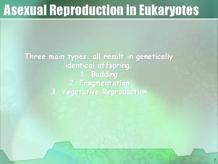 Asexual Reproduction in Eukaryotes Three main types: all result in genetically identical offspring. 1.