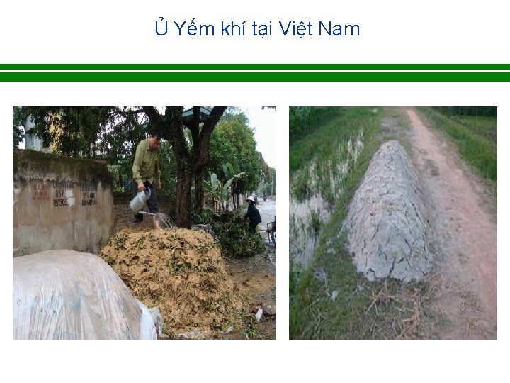 Ủ Yếm khí tại Việt Nam 