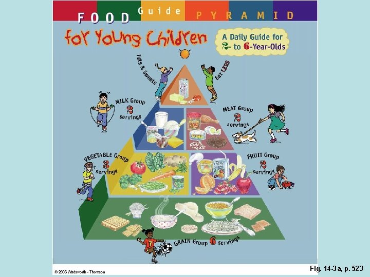 Fig. 14 -3 a, p. 523 