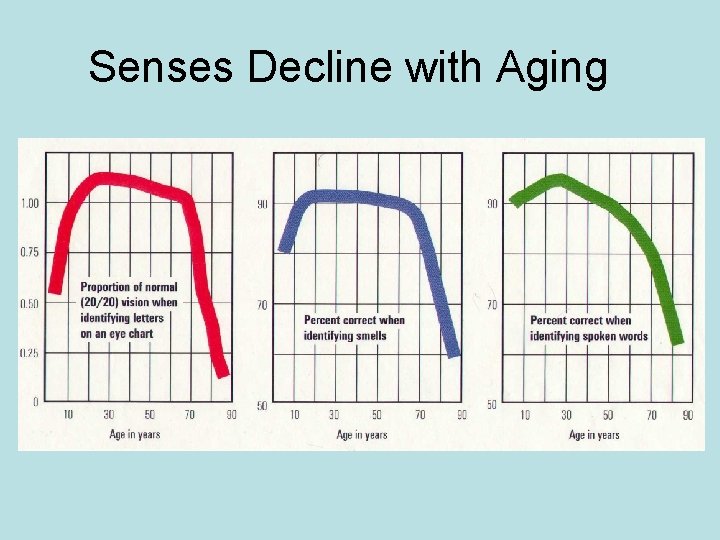Senses Decline with Aging 