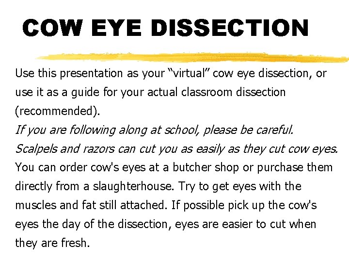COW EYE DISSECTION Use this presentation as your “virtual” cow eye dissection, or use